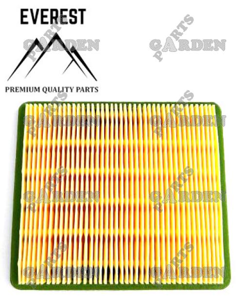 Kinų žoliapjovės oro filtras NAC NGP, žemas EVEREST